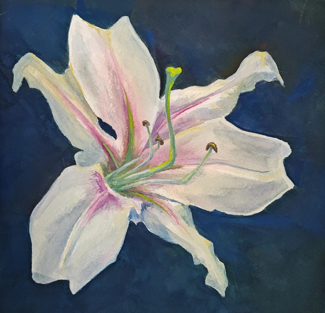 Lily lavon - gouache on paper, 8x8