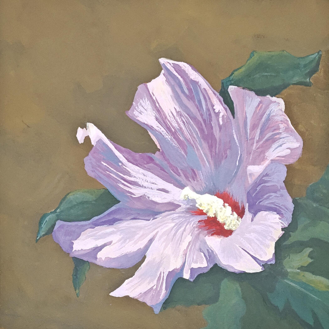 Hibiscus - gouache on paper, 8x8
